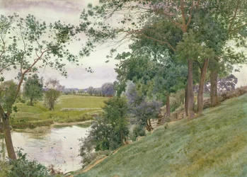 A Quiet Corner